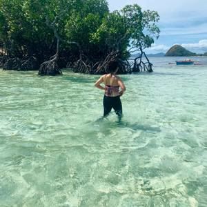 Meet your Posher, Shu